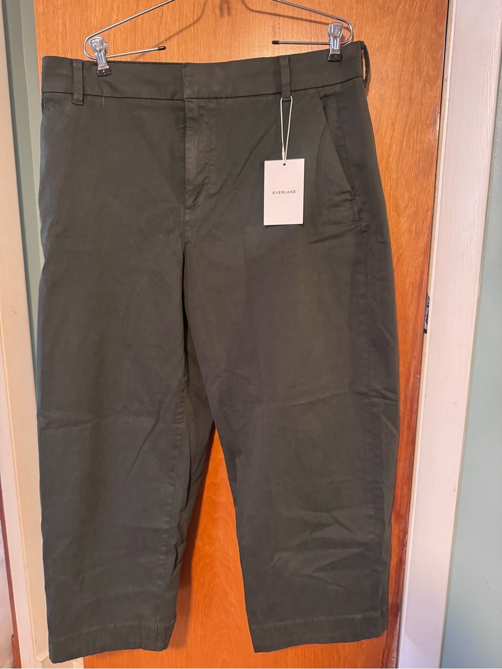 Everlane Olive Green Cotton Twill Chino Pants